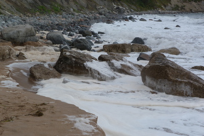 Ingonish Beach sea form