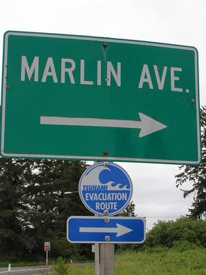 Tsunami evacuation route