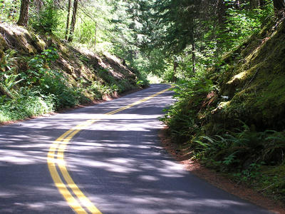 OR Route 242