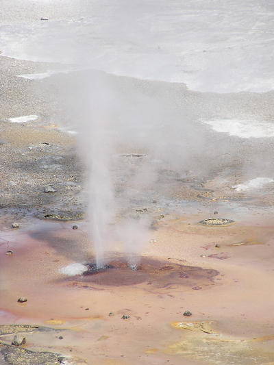 steam