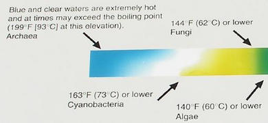 Temperature vs. hot spring colors