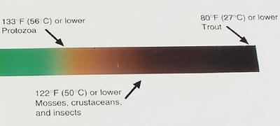 Temperature vs. hot spring colors