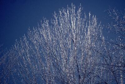 January 1978 ice storm